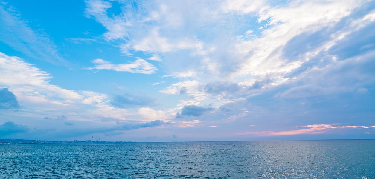 店舗概要 仕事内容