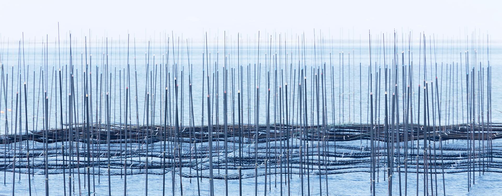 村上海苔加工場