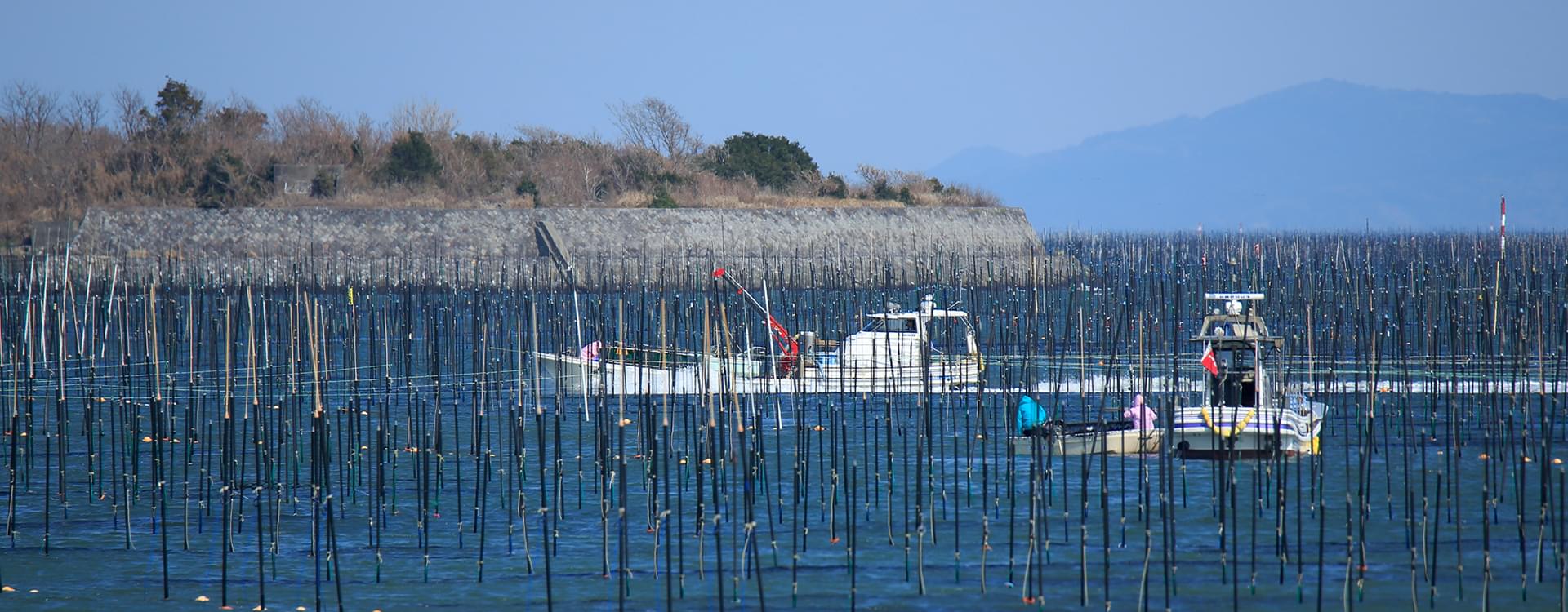 村上海苔加工場
